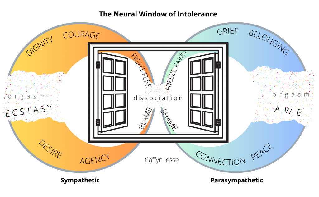 Graphic by Caffyn Jesse showing the "Neural WIndow of Intolerance" in the most contracted part of our nervous system, where we are responding to danger and managing threat