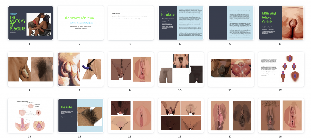 Anatomy of Pleasure pages available as slides with reproduction rights