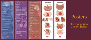 Sacred Intimacy Teaching Posters